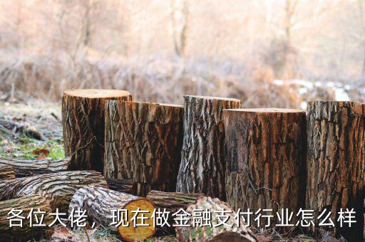支付行業怎么樣,怎么樣才能做好支付行業