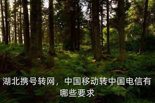 湖北攜號轉網，中國移動轉中國電信有哪些要求