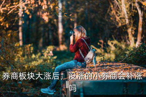 券商板塊大漲后，沒漲的小券商會補漲嗎