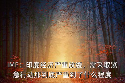 經濟放緩意味著什么,印度經濟嚴重放緩
