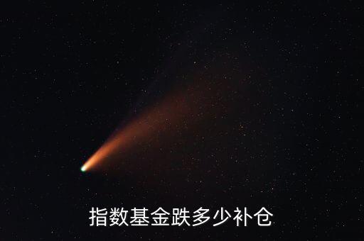 指數基金跌多少補倉