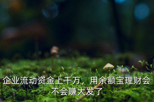 企業流動資金做什么理財,企業流動資金上千萬