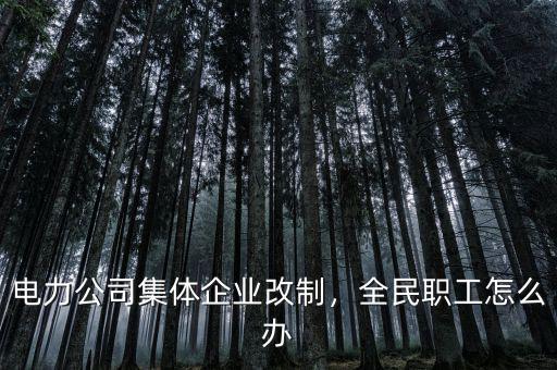 電力公司集體企業改制，全民職工怎么辦