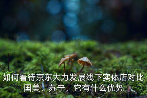 如何看待京東大力發(fā)展線下實體店對比國美、蘇寧，它有什么優(yōu)勢