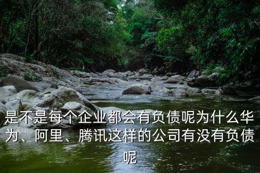 是不是每個企業(yè)都會有負(fù)債呢為什么華為、阿里、騰訊這樣的公司有沒有負(fù)債呢