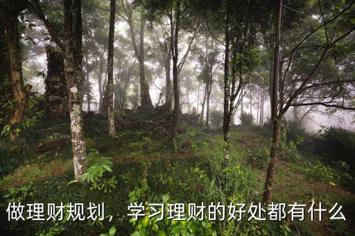 做理財規劃，學習理財的好處都有什么