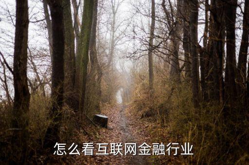 互聯網金融該怎么玩,怎么看互聯網金融行業
