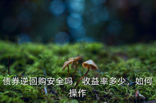 債券逆回購安全嗎，收益率多少，如何操作