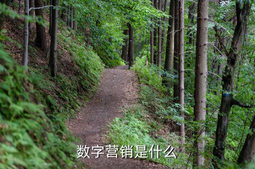 為什么叫數字營銷,數字營銷等同于互聯網營銷嗎