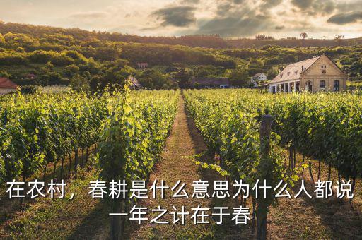 在農村，春耕是什么意思為什么人都說一年之計在于春