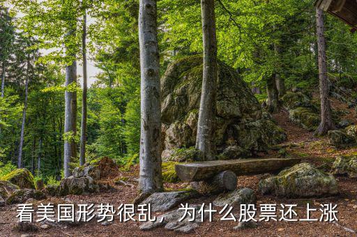看美國形勢很亂，為什么股票還上漲