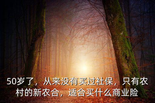 50歲了，從來沒有買過社保，只有農(nóng)村的新農(nóng)合，適合買什么商業(yè)險(xiǎn)