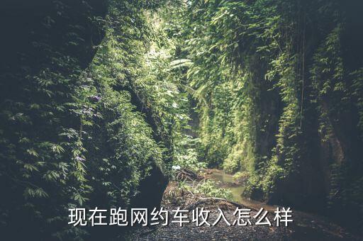 現在跑網約車收入怎么樣
