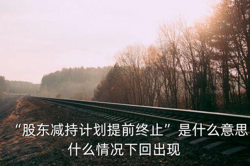 “股東減持計劃提前終止”是什么意思什么情況下回出現