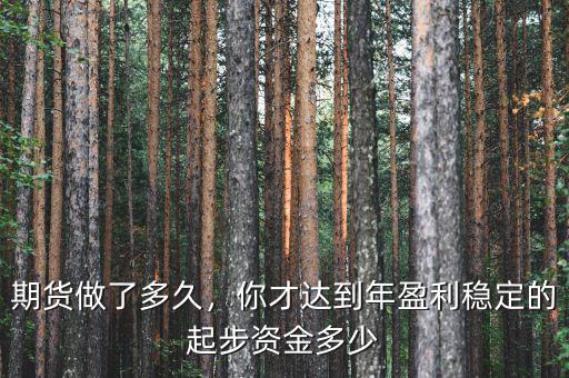 期貨做了多久，你才達到年盈利穩定的起步資金多少