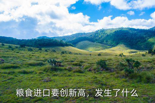 什么人創新高,股民數量創新高