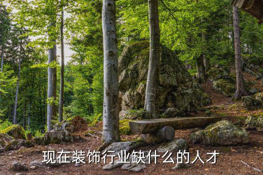 現在中國缺什么樣的人才,現在裝飾行業缺什么的人才