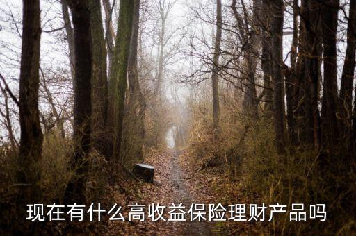 現在有什么理財產品收益比較高要,收益又比較高的理財產品嗎