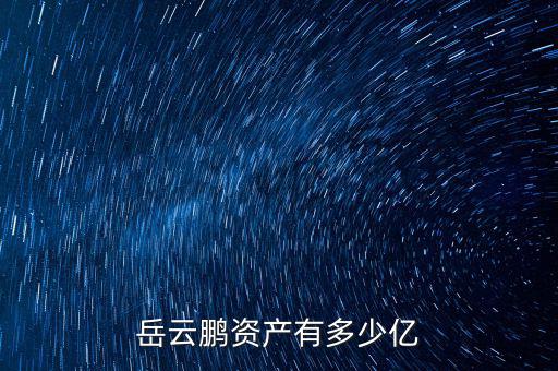 黃朝陽總資產多少,岳云鵬資產有多少億