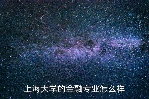 上海大學的金融專業怎么樣