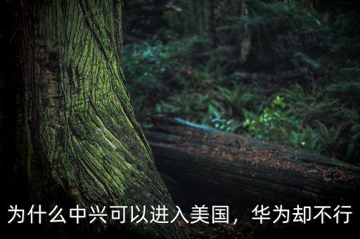 為什么中興可以進入美國，華為卻不行