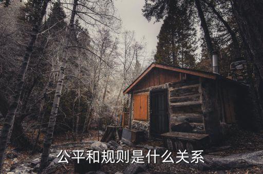 什么是市場公平,公平和規則是什么關系