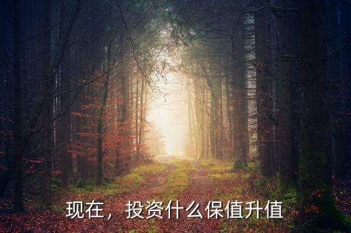 五年后什么產品在升值,未來五年什么會上漲