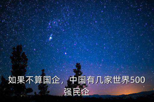 如果不算國企，中國有幾家世界500強民企