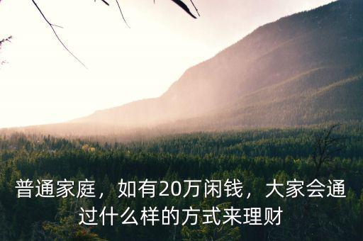 普通家庭，如有20萬閑錢，大家會通過什么樣的方式來理財
