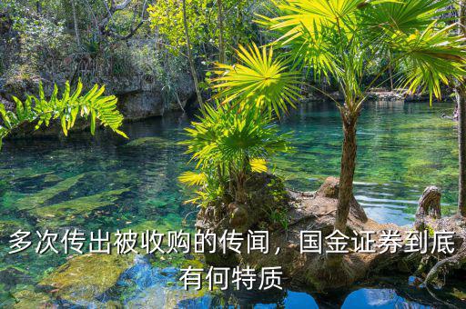 國金證券增發什么時候實施,券商板塊什么時候起爆