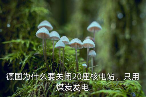 德國為什么要關閉20座核電站，只用煤炭發電