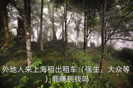 外地人來(lái)上海租出租車（強(qiáng)生，大眾等）能賺到錢嗎