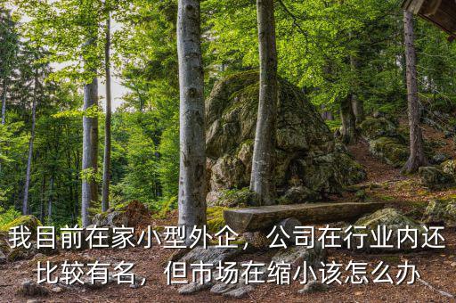 什么行業在縮小,但市場在縮小該怎么辦
