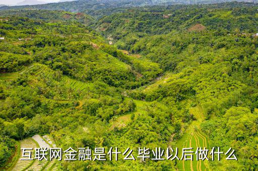 互聯網金融有什么崗位,互聯網金融是什么
