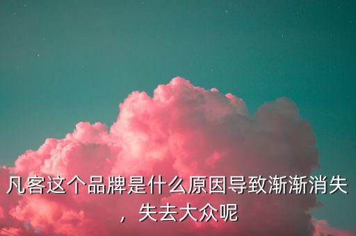 凡客這個品牌是什么原因導致漸漸消失，失去大眾呢