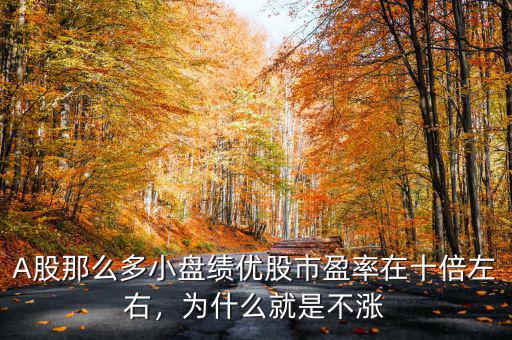 A股那么多小盤績優股市盈率在十倍左右，為什么就是不漲