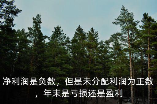凈利潤是負(fù)數(shù)，但是未分配利潤為正數(shù)，年末是虧損還是盈利