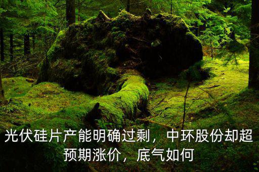 光伏硅片產能明確過剩，中環股份卻超預期漲價，底氣如何