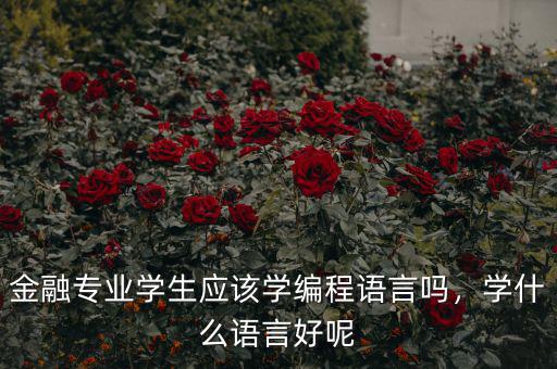 金融專業學生應該學編程語言嗎，學什么語言好呢
