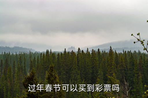 彩票網點過年怎么安排的,過年春節可以買到彩票嗎