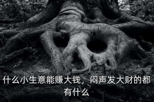 什么小生意能賺大錢，悶聲發大財的都有什么