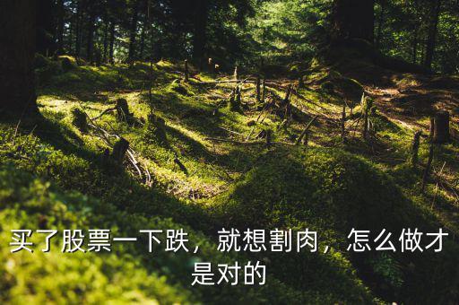 買了股票一下跌，就想割肉，怎么做才是對的