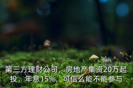 第三方理財公司，房地產集資20萬起投，年息15%，可信么能不能參與