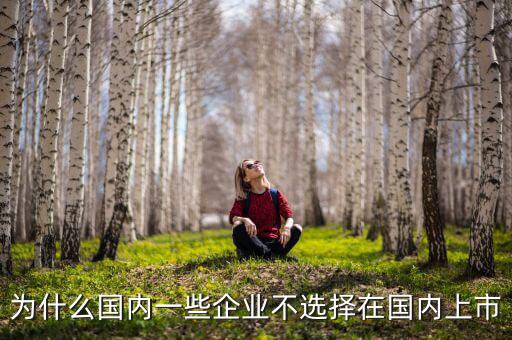 為什么國內一些企業不選擇在國內上市