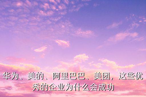 過去的中國企業為什么能如此成功,這些優秀的企業為什么會成功