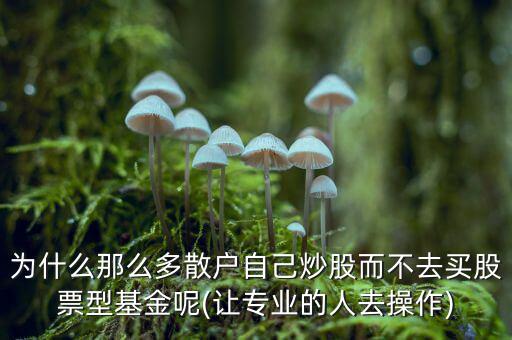 為什么那么多散戶自己炒股而不去買股票型基金呢(讓專業的人去操作)