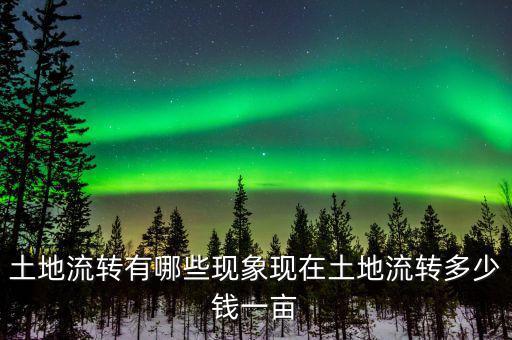 土地流轉后多少錢一畝,土地流轉有哪些現象