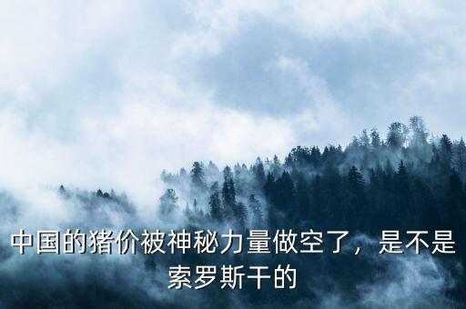 中國的豬價被神秘力量做空了，是不是索羅斯干的
