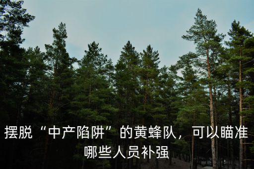 擺脫“中產陷阱”的黃蜂隊，可以瞄準哪些人員補強