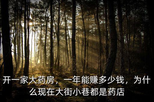 開一家大藥房，一年能賺多少錢，為什么現在大街小巷都是藥店